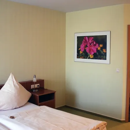 Ringhotel Alfsee Piazza