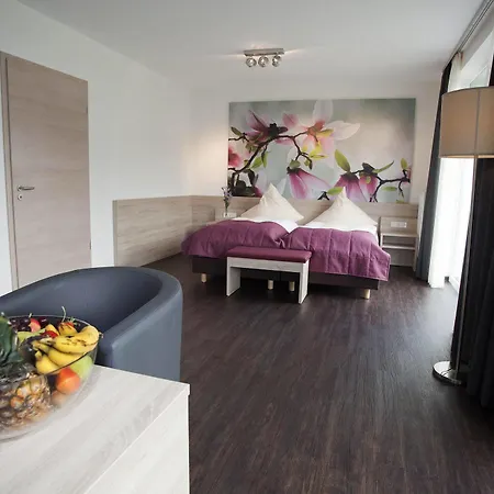 Ringhotel Alfsee Piazza 3* Rieste