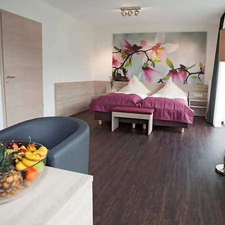 Ringhotel Alfsee Piazza Отель 3*