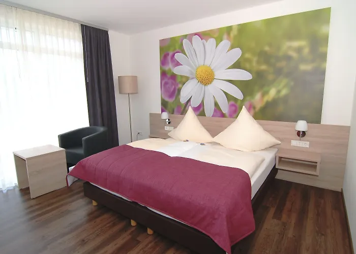 ホテル リングホテル アルフゼー ピアッザ 3*