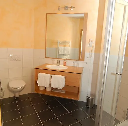 ホテル リングホテル アルフゼー ピアッザ Rieste