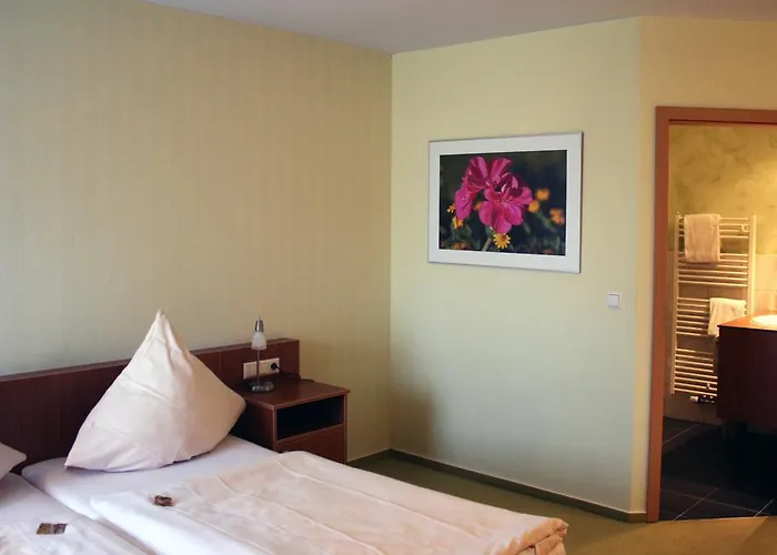 リングホテル アルフゼー ピアッザ