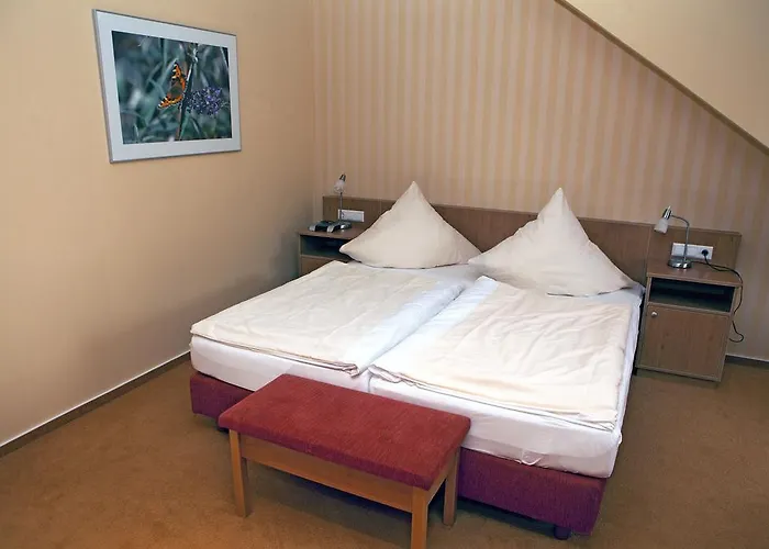 ホテル リングホテル アルフゼー ピアッザ 3*