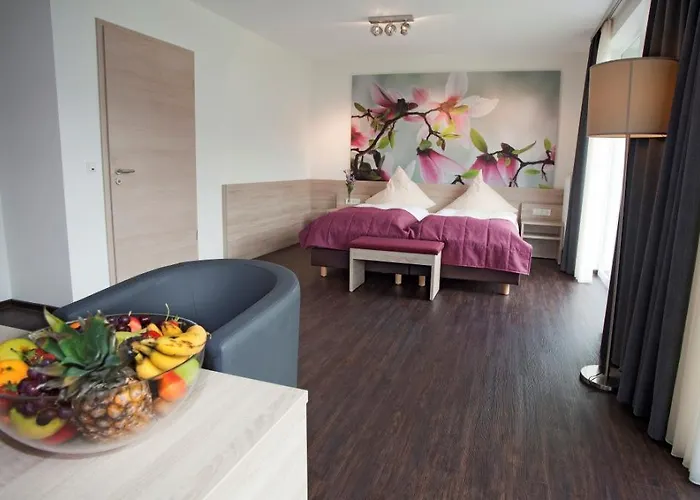 リングホテル アルフゼー ピアッザ ホテル 3*