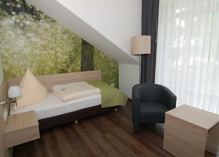 リングホテル アルフゼー ピアッザ 3* Rieste